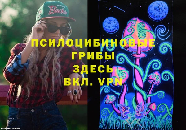 первитин Михайлов